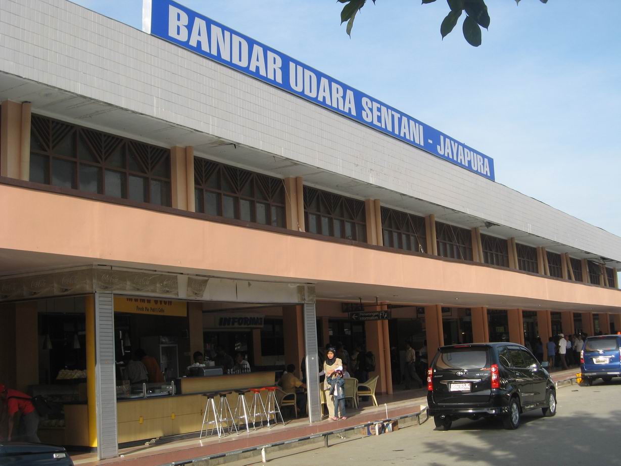 Nepal Airlines travel view